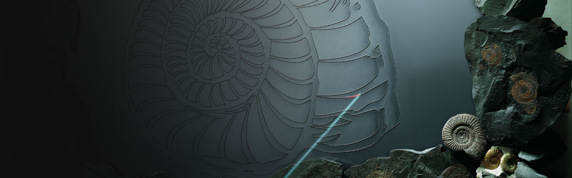 Row Background Image